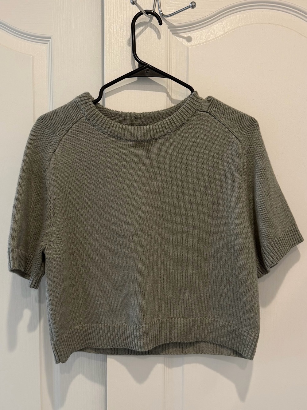 A&F Madeline Crew Short Sleeve Sweater  (Small)